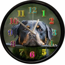Rottweiler Köpek Tasarımlı Dekoratif Duvar Saati 28 Cm Sessiz Mekanizma