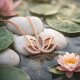 Gümüş Rose Lotus Çiçeği Kolye Gümüş Rose Lotus Çiçeği Kolye